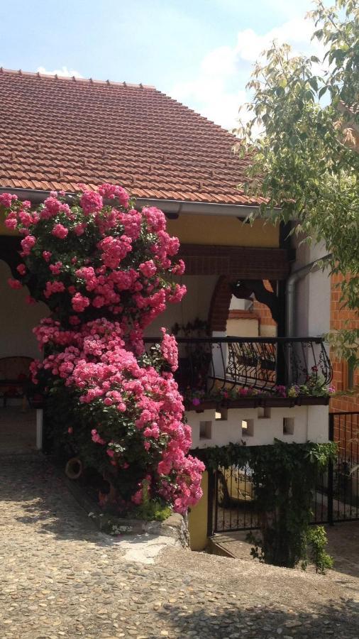 Apartments Dajcic Varazdinske Toplice Εξωτερικό φωτογραφία