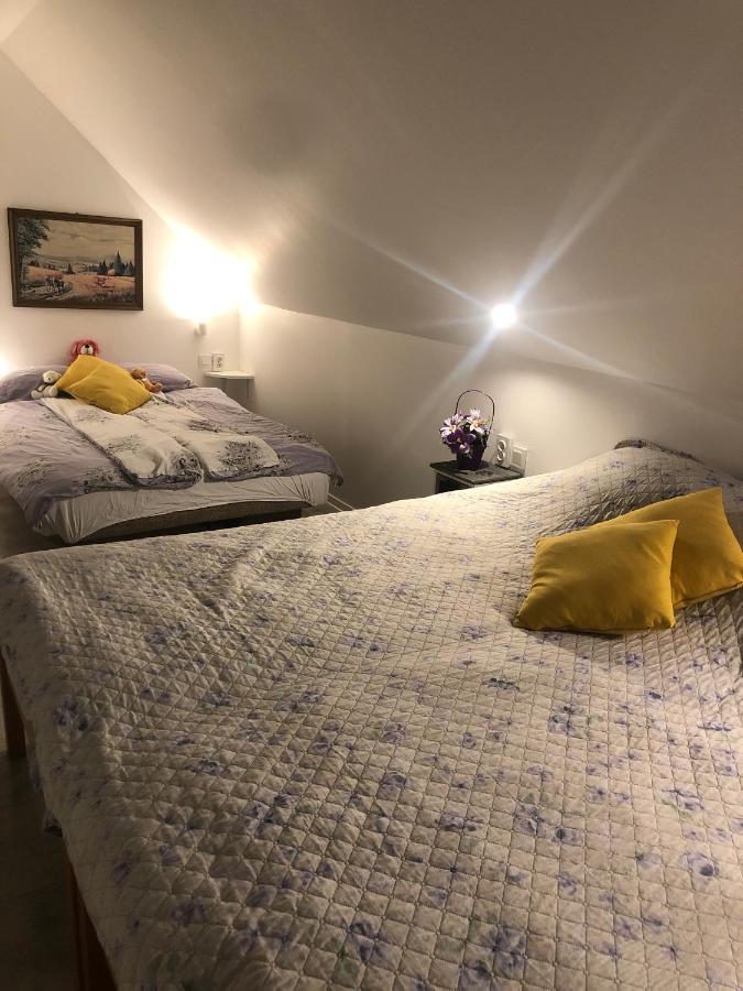 Apartments Dajcic Varazdinske Toplice Εξωτερικό φωτογραφία