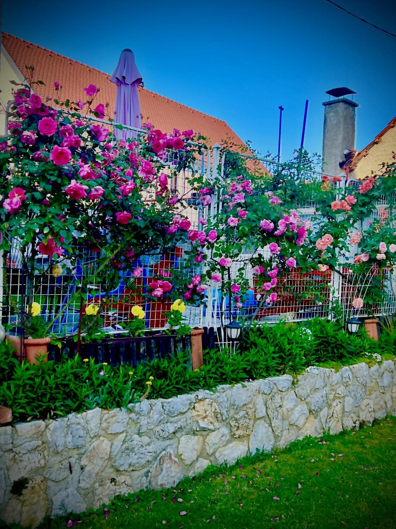 Apartments Dajcic Varazdinske Toplice Εξωτερικό φωτογραφία